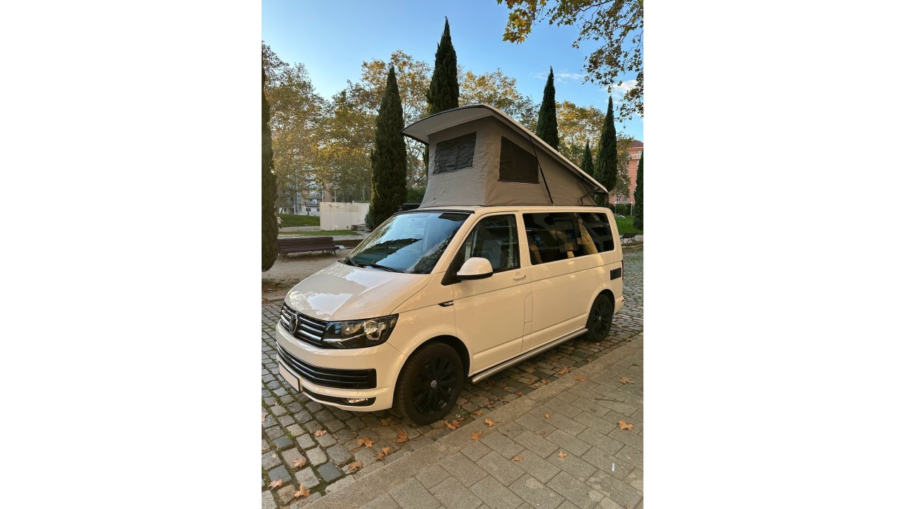 California T6
