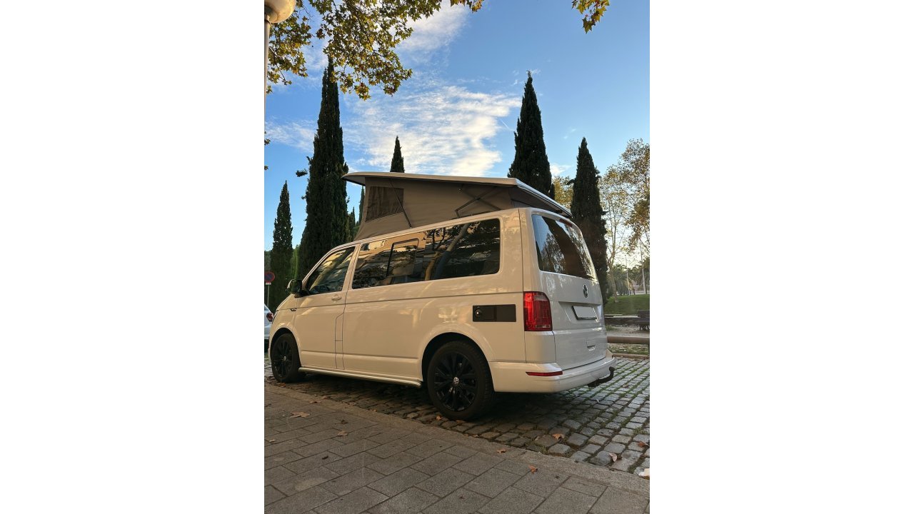 California T6