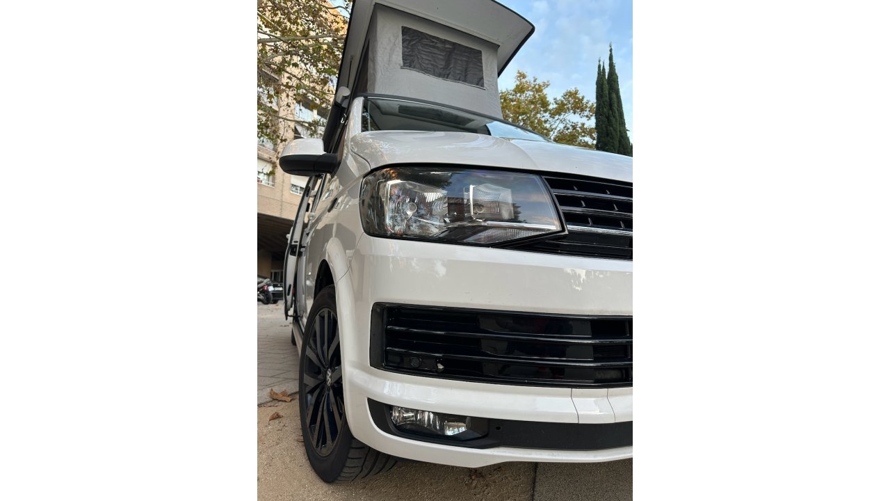 California T6