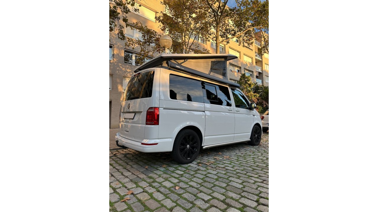 California T6