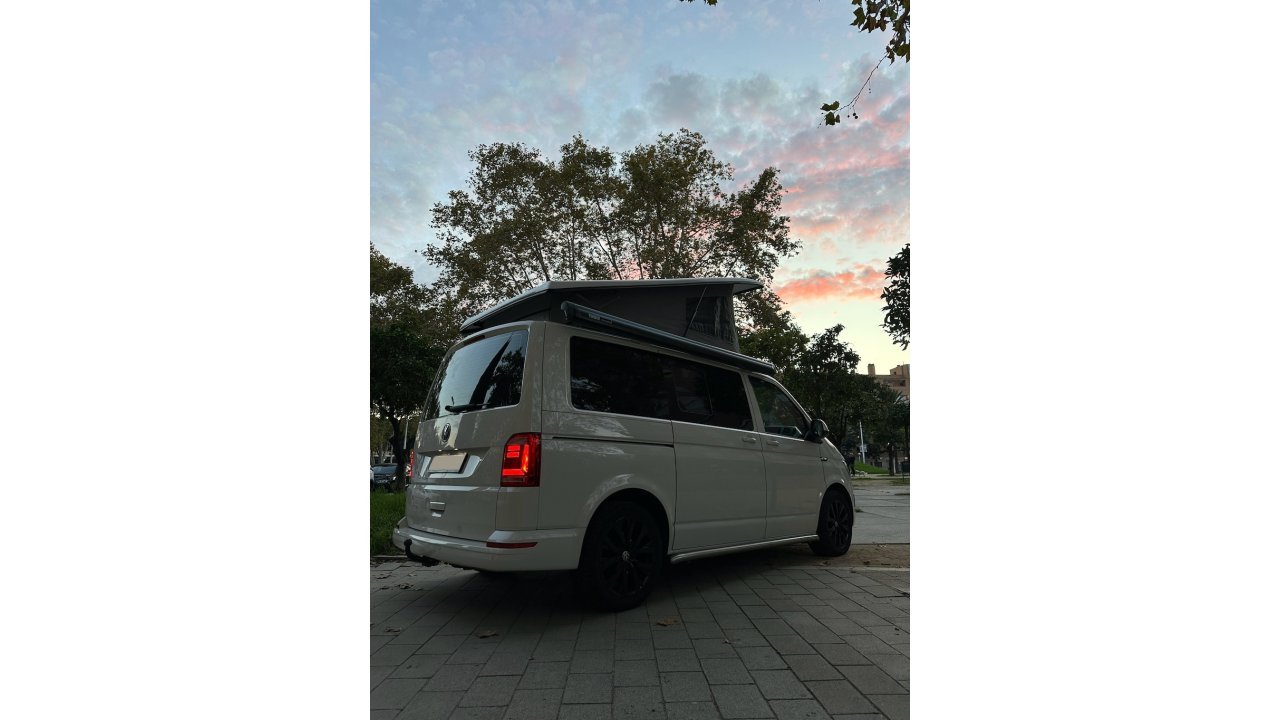 California T6