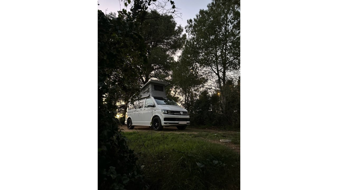 California T6