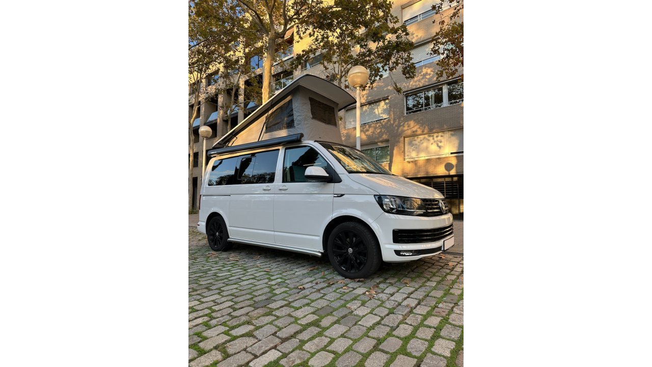 California T6