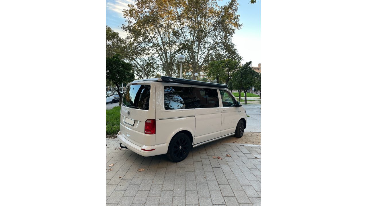 California T6