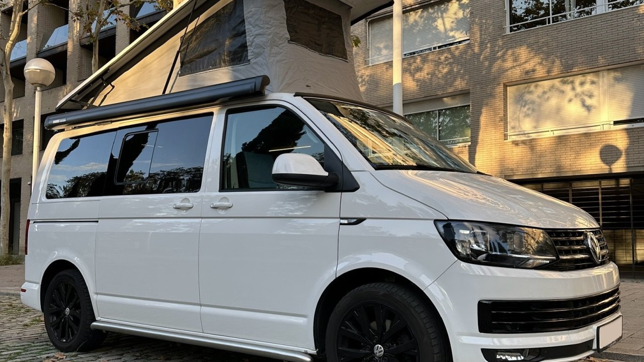 California T6