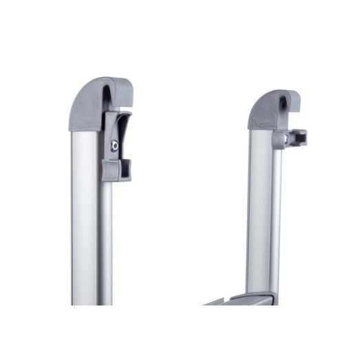 Access ladder for sleeping roofs