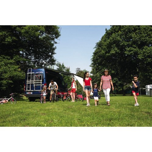 Rear ladder Mercedes Sprinter 2006 and newer