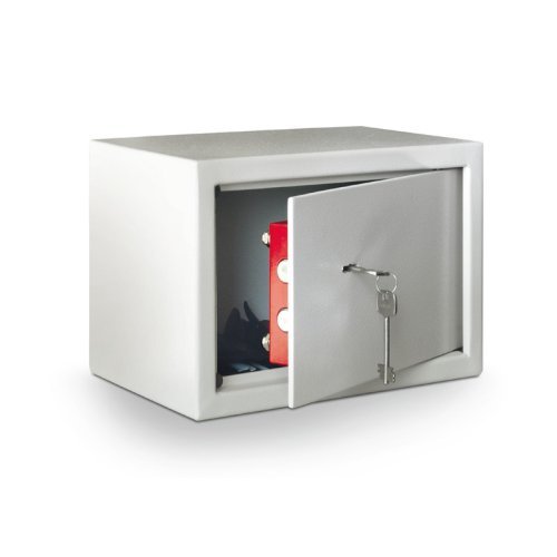Safe Rex 310x200x200mm