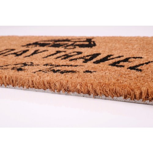 Coconut mat Holiday Travel - 50x25 cm