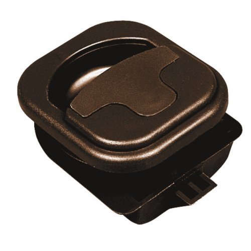 Admission shell arched, brown