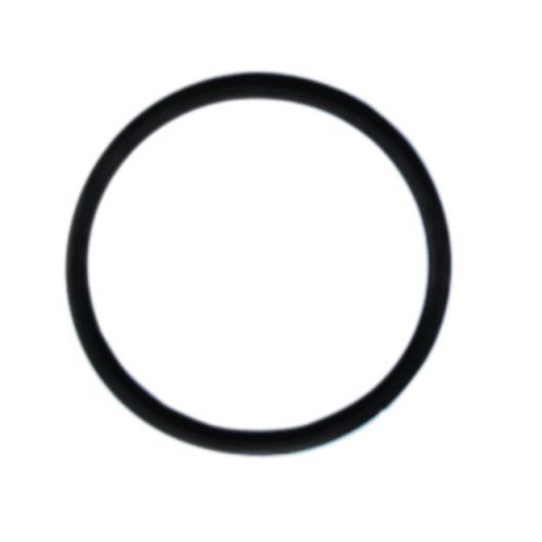 Gasket for inlet cover 61250