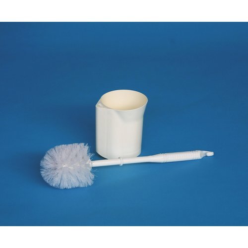 Toilet brush with holder