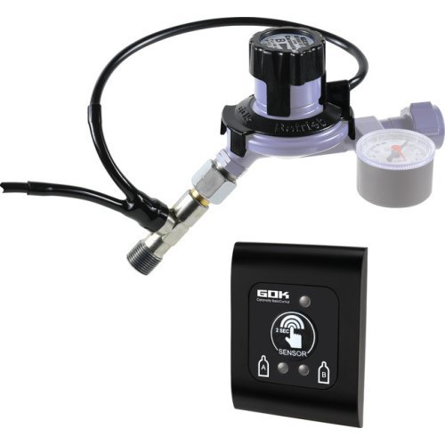 Caramatic BasicControl remote display