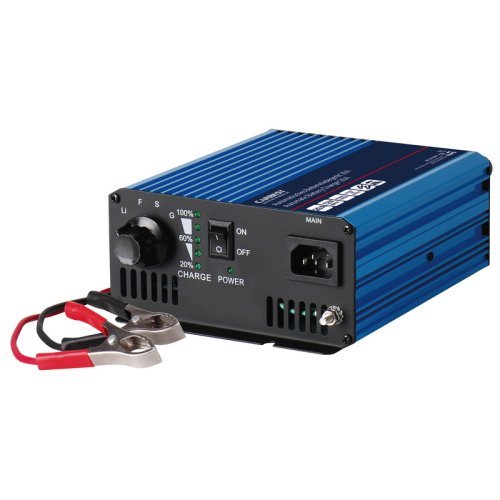 Professional battery charger - 20 A / 12 V