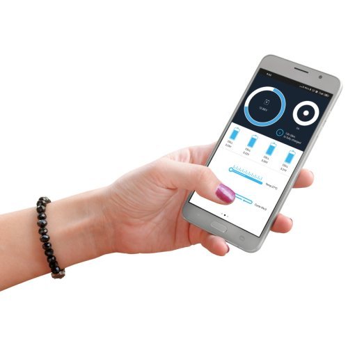 Li100BT-H lithium battery with Bluetooth technology and heating function