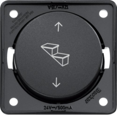 Berker INTEGRO anthracite Tread rocker push-button