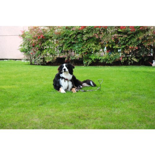 Tent anchor/tie-down peg 40cm Ø8mm 1 piece