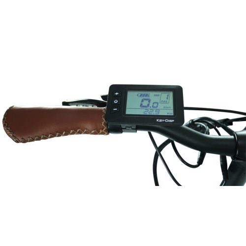 Blaupunkt City e-bike foldable "FRIDA"