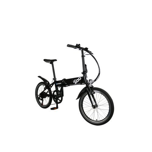 E-Bike CARL 300