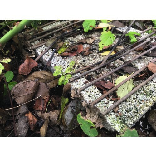 CASUSGRILL - The environmentally friendly disposable Grill