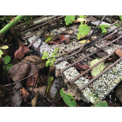 CASUSGRILL - The environmentally friendly disposable Grill