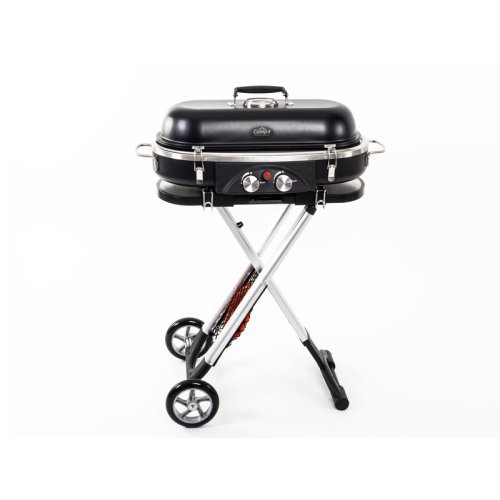 Trolley 2-burner gas barbecue with safety pilot - 50 mbar