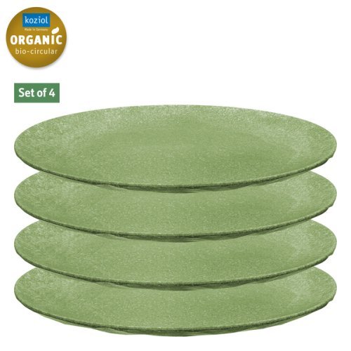 Set of 4 - plate CLUB, leaf green