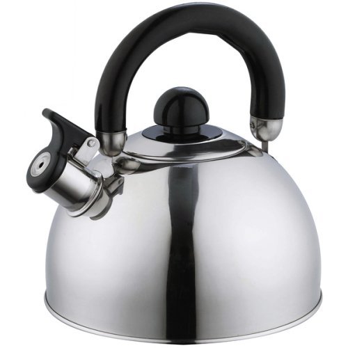 Contessa flute kettle stainless steel 2,5 litres
