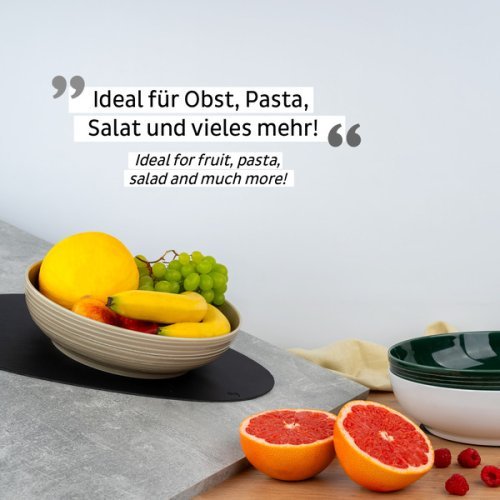 Porcelain magnetic food bowl - ivory