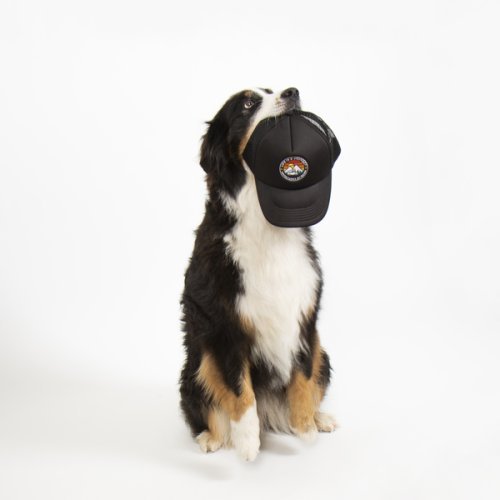 Trucker Cap LIFE IS A JOURNEY, black, unisex