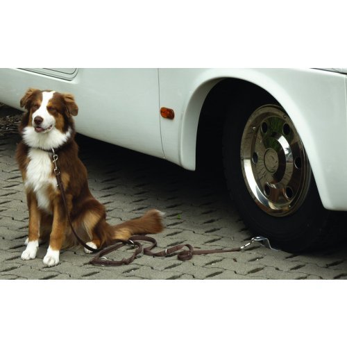 Dog holder 'Dog-Sitter', for big dogs too, aluminium plate