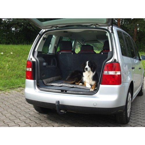Outdoor blanket for dogs ABBY
