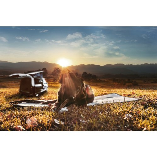 Thermo pad for pets 70x50cm, light grey, anti-slip