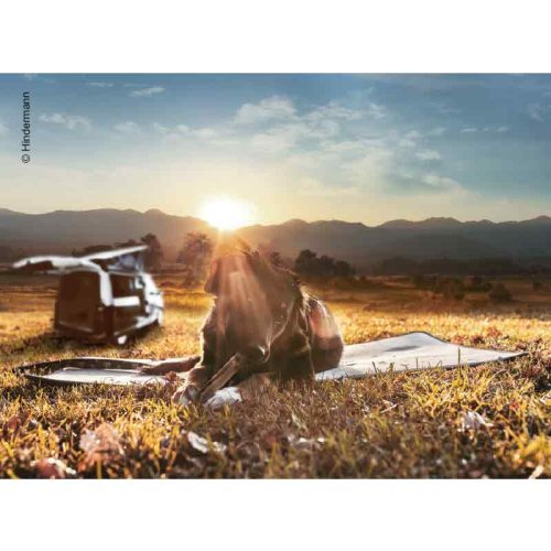 thermal pad for pets 100x50cm, light grey, anti-slip