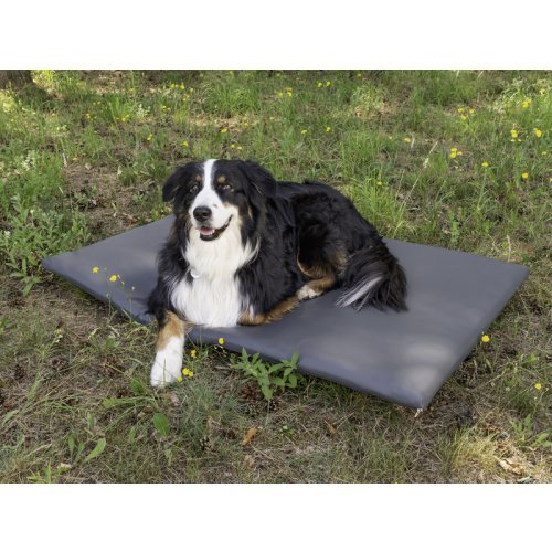 DOG PAD - Trunk support for VW California