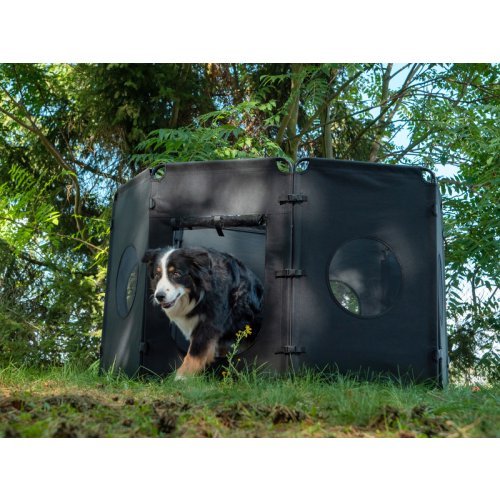 Folding dog outdoor enclosure